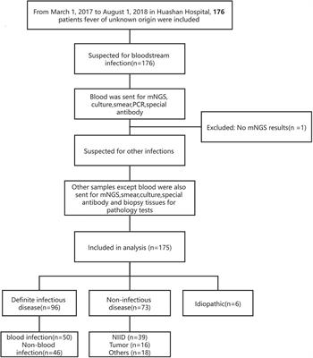 unknown lab report microbiology flowchart